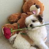 __hirunii__'s picture __hirunii__'s picture